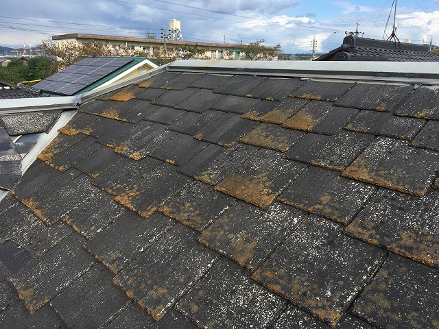 経年劣化したアーバニー屋根